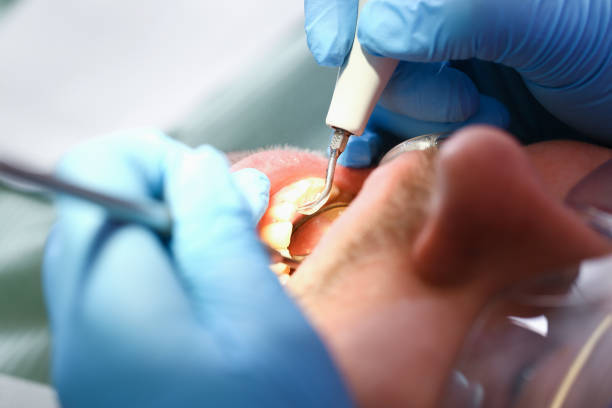 , MT Emergency Dental Service Company